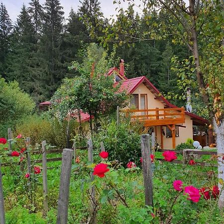 Forest Vibes Spa Cîmpu lui Neag Εξωτερικό φωτογραφία