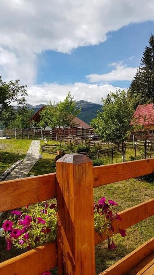 Forest Vibes Spa Cîmpu lui Neag Εξωτερικό φωτογραφία