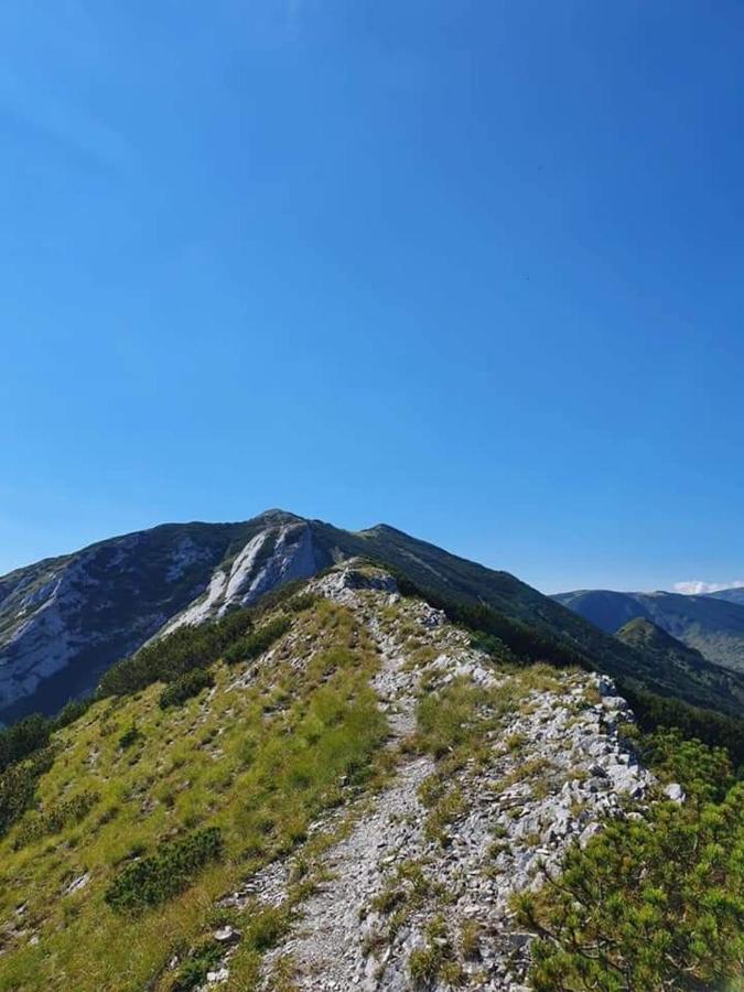 Forest Vibes Spa Cîmpu lui Neag Εξωτερικό φωτογραφία