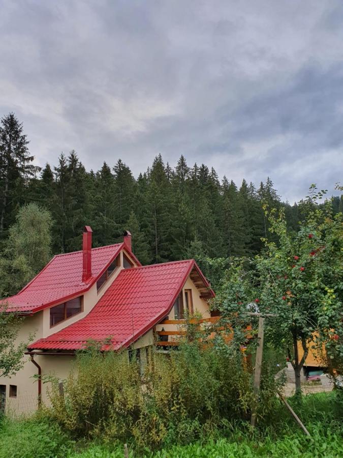 Forest Vibes Spa Cîmpu lui Neag Εξωτερικό φωτογραφία