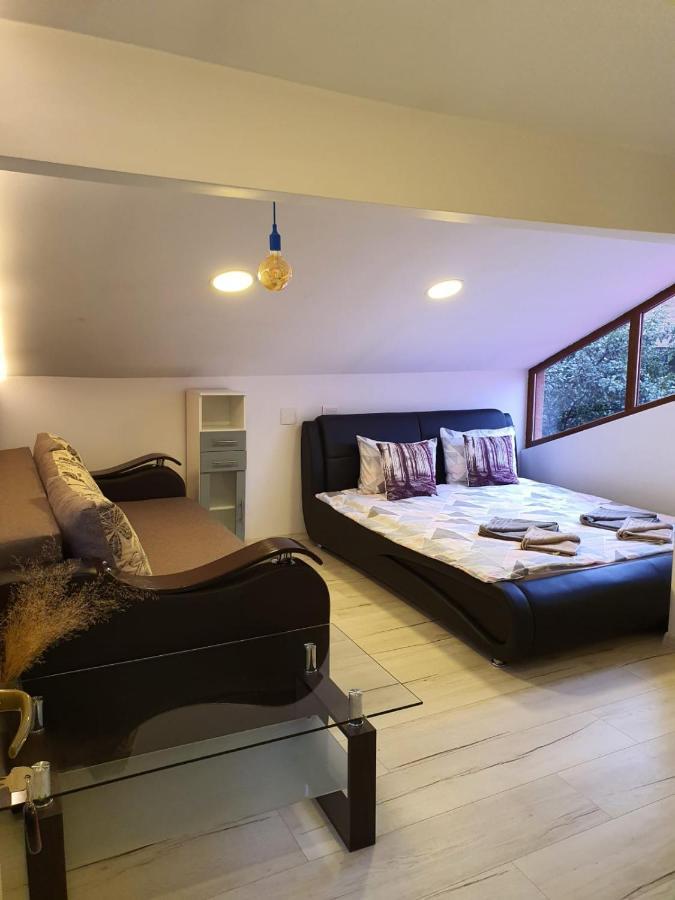 Forest Vibes Spa Cîmpu lui Neag Εξωτερικό φωτογραφία
