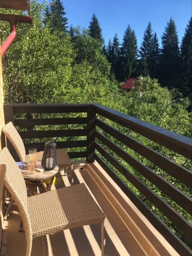 Forest Vibes Spa Cîmpu lui Neag Εξωτερικό φωτογραφία