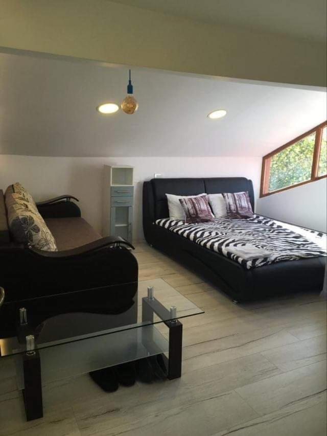 Forest Vibes Spa Cîmpu lui Neag Εξωτερικό φωτογραφία
