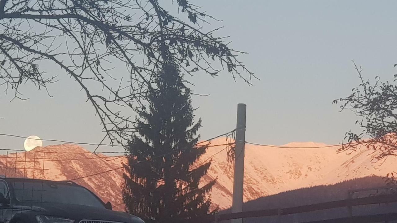 Forest Vibes Spa Cîmpu lui Neag Εξωτερικό φωτογραφία