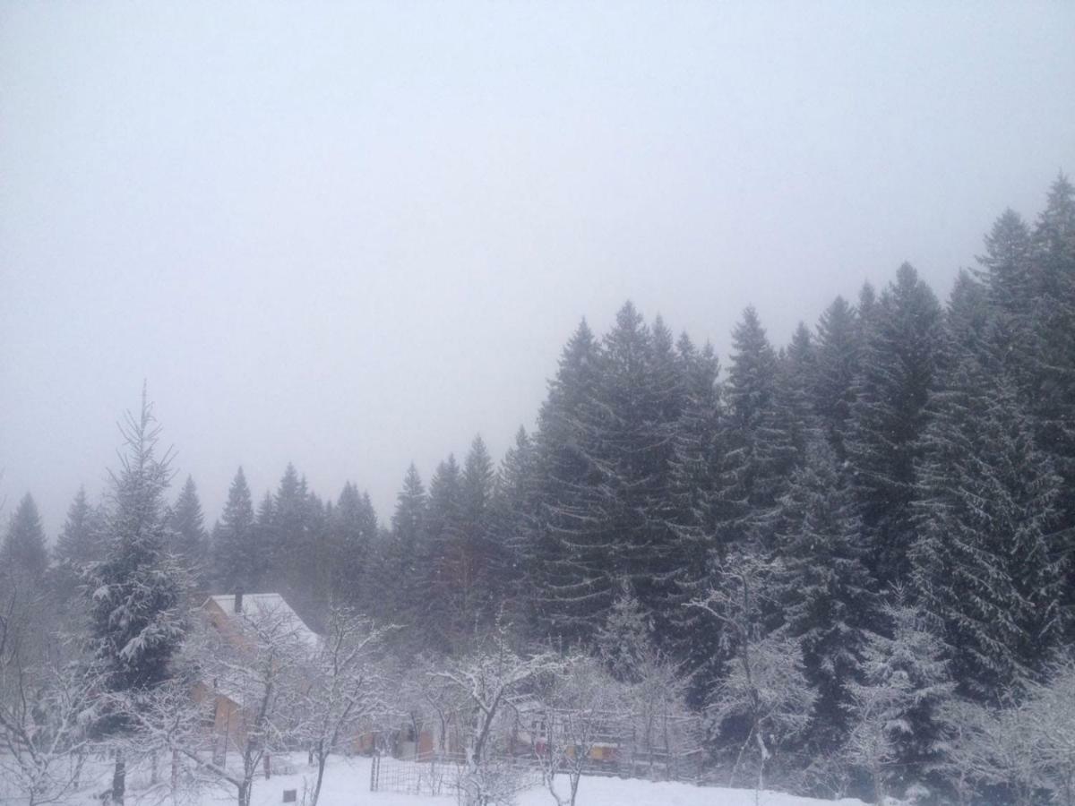 Forest Vibes Spa Cîmpu lui Neag Εξωτερικό φωτογραφία