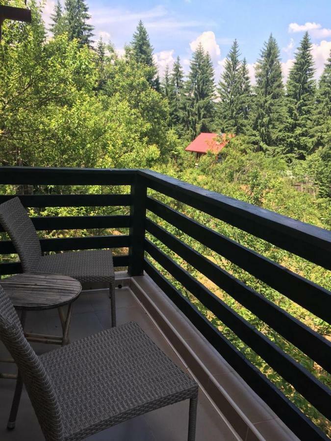 Forest Vibes Spa Cîmpu lui Neag Εξωτερικό φωτογραφία