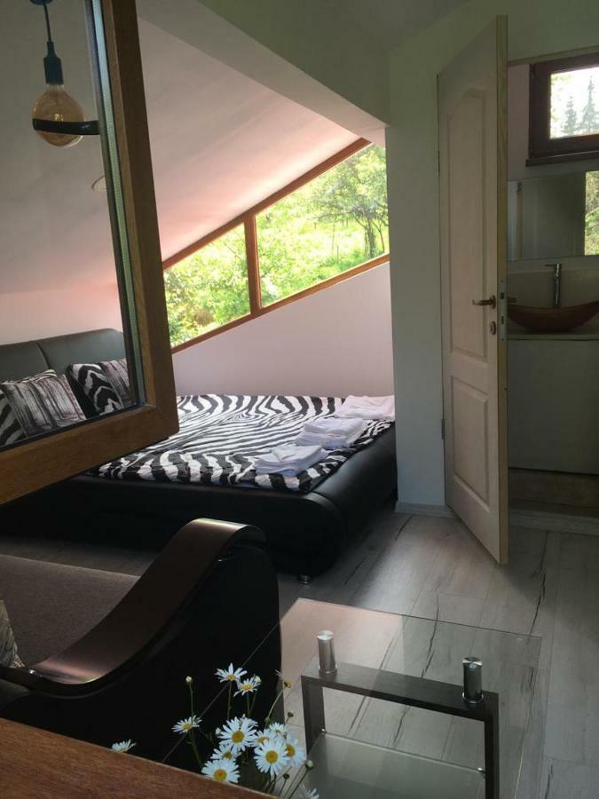 Forest Vibes Spa Cîmpu lui Neag Εξωτερικό φωτογραφία