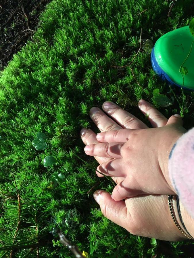 Forest Vibes Spa Cîmpu lui Neag Εξωτερικό φωτογραφία