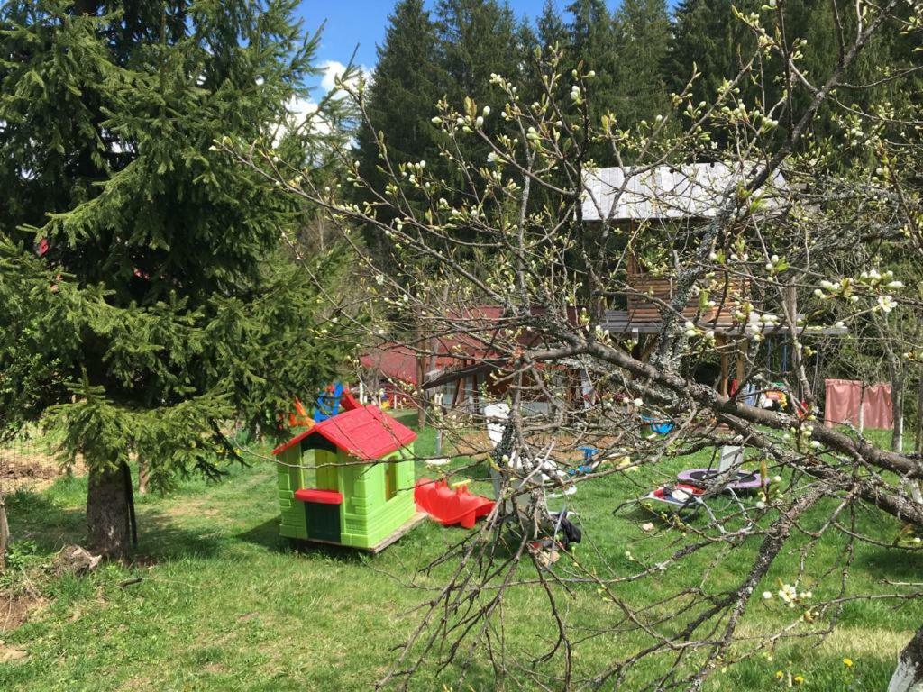 Forest Vibes Spa Cîmpu lui Neag Εξωτερικό φωτογραφία